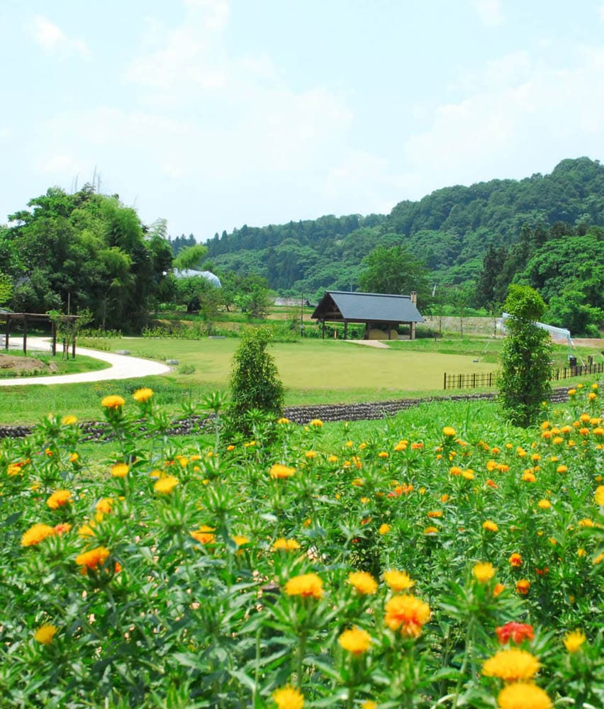 河北町